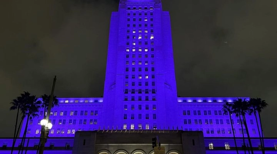 City Hall DV