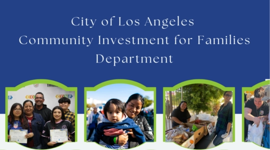 Community Action Plan