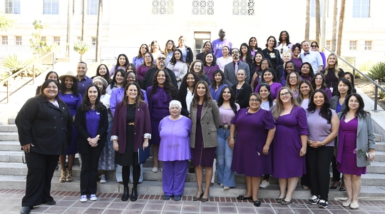 DV Awareness Press Conference