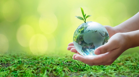 Person is holding the earth on the palm of their hand above grass