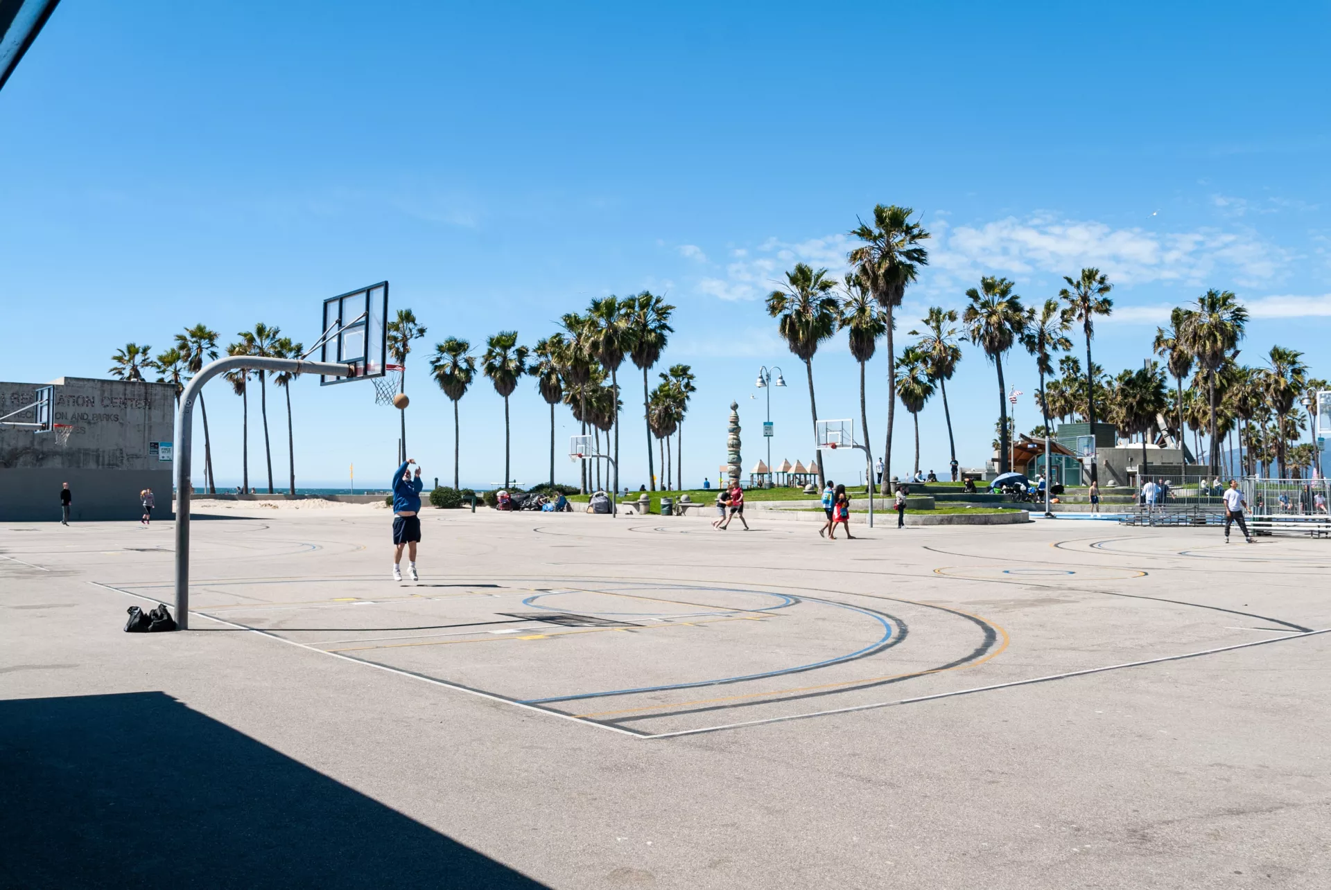 Basketball court surrounded by Palm trees